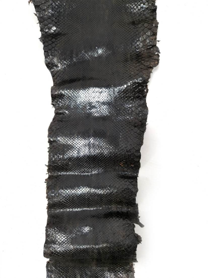 Processed Natural Python Snake Skin - 4