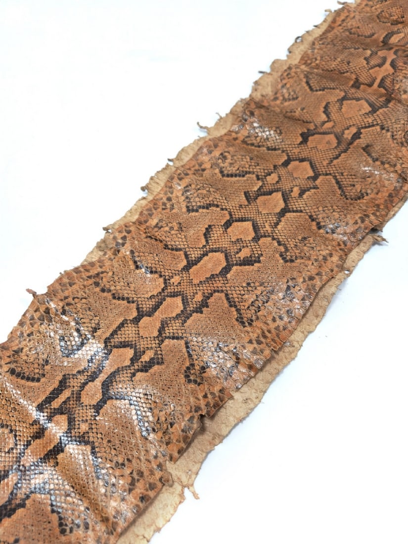 African Rock Python Skin: African Rock Python Skin, length approximately 240 cm Notice: We are located in Israel and provide full packing and shipping service. You can ask us for a shipping quote before the sale.