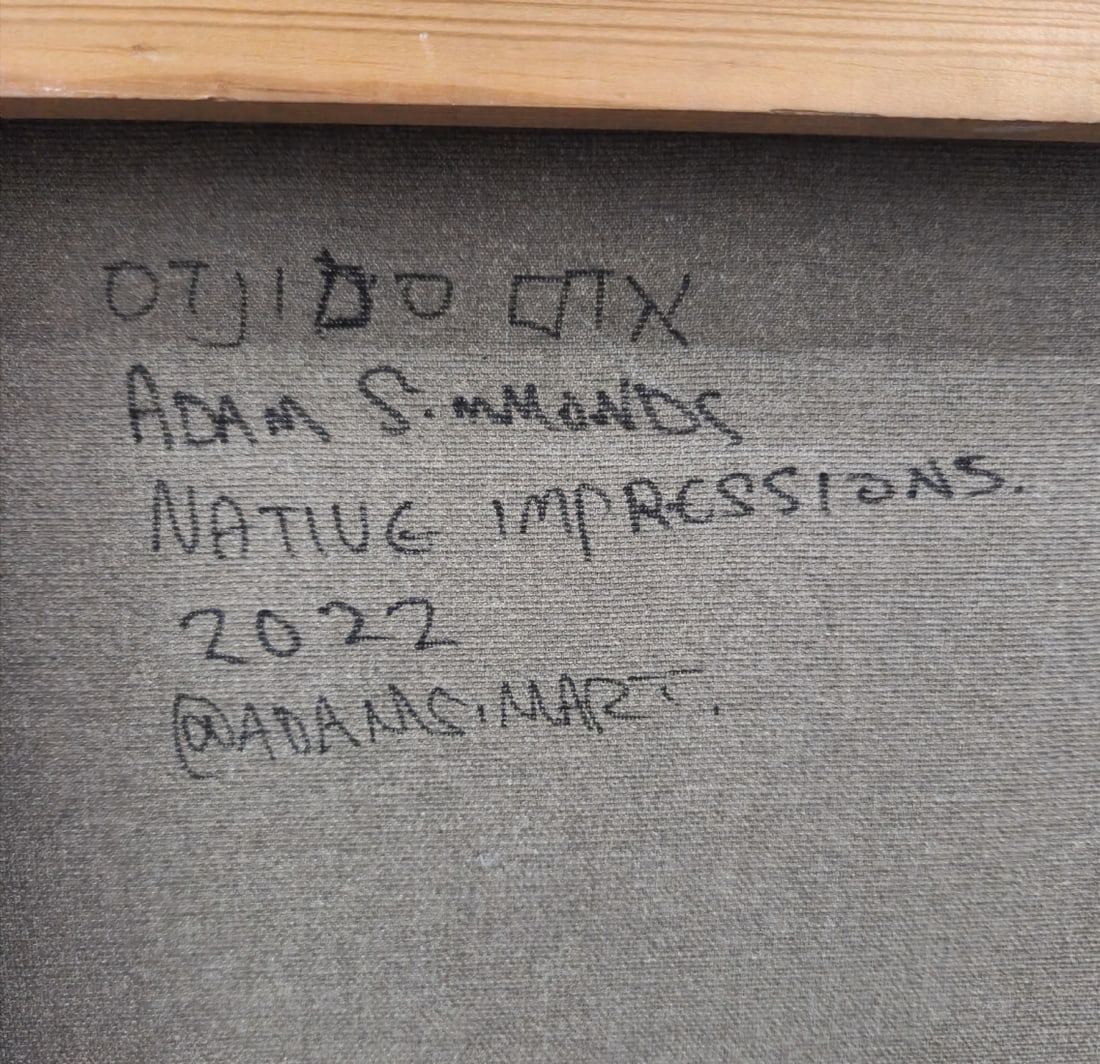 Adam Simmonds - 'Native Impression', Acrylic on Canvas - 4