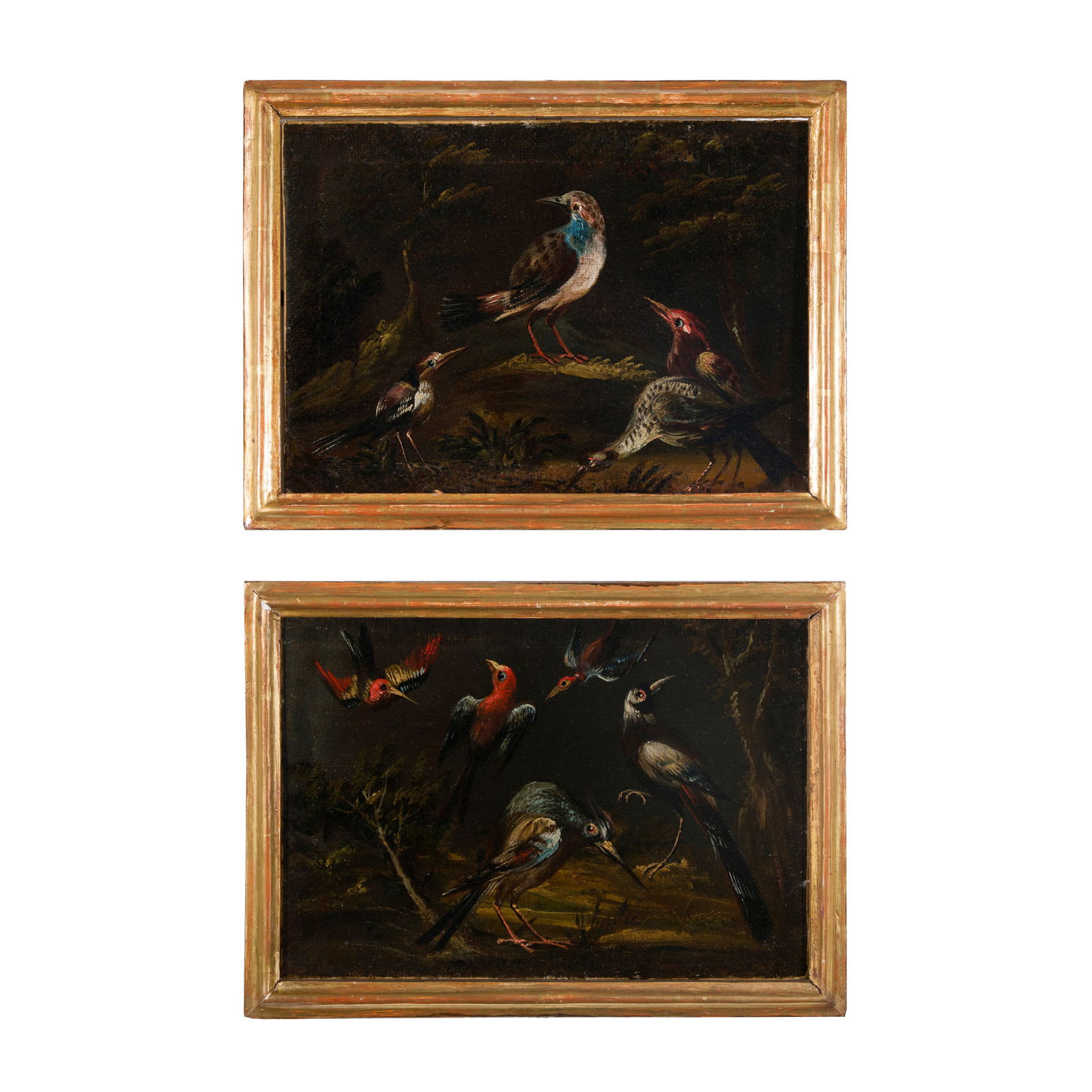 Pietro Neri Scacciati (Firenze 1684 - 1749) attribuito (1 of 4)