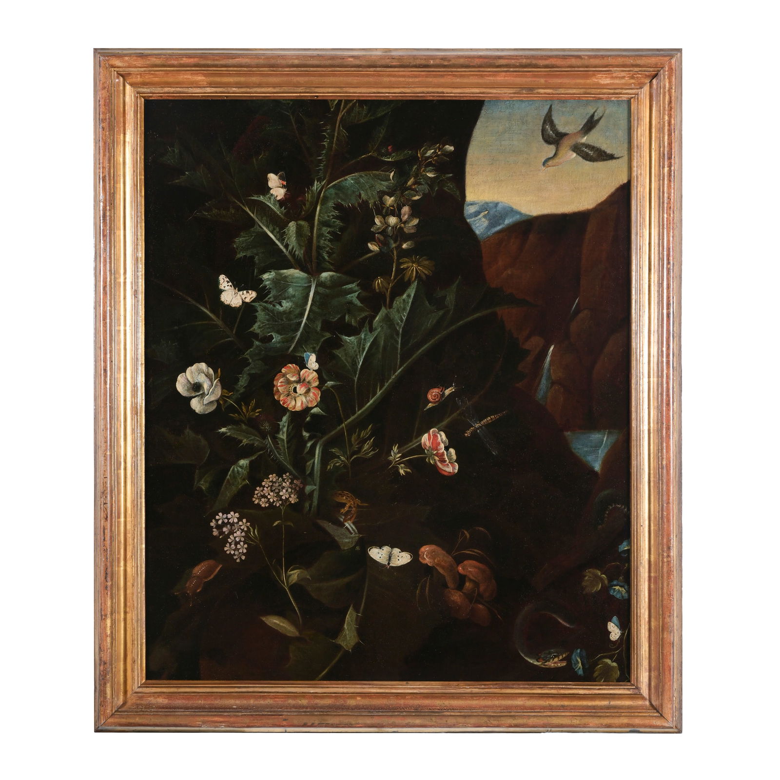 Alida Withoos (Amersfoort 1659/1661 - Amsterdam 1730) attribuito Pianta di fiori con insetti in un (1 of 3)