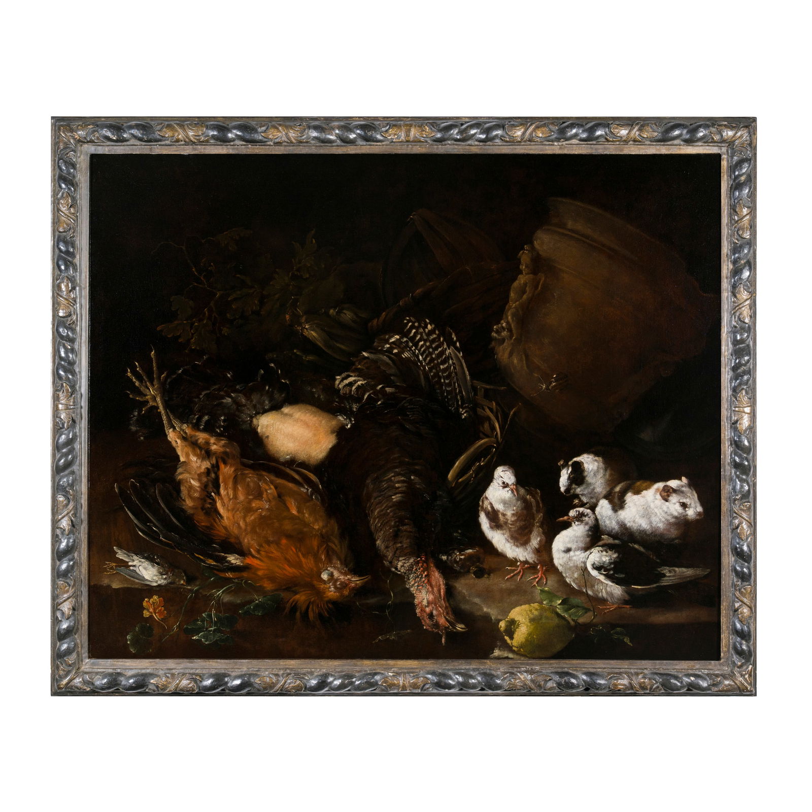 Franz Werner Tamm (Amburgo 1658 - Vienna 1724) Natura morta di pollame, con piccioni e porcellini (1 of 4)