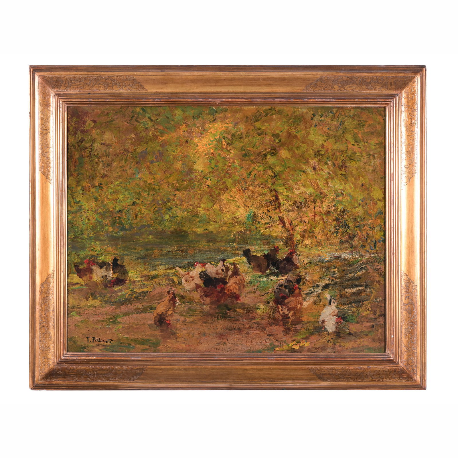 Tito Pellicciotti (Barisciano 1871 - 1950) Galline che razzolano Olio su cartone 46 x 60 cm Firmato (1 of 4)