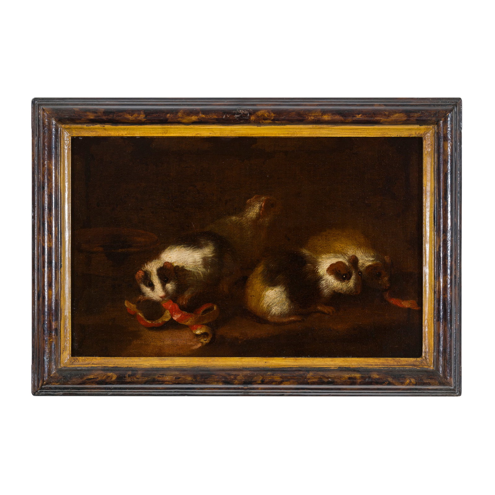 Giovanni Agostino Cassana (Mirandola 1658 circa - Genova 1720): Giovanni Agostino Cassana (Mirandola 1658 circa - Genova 1720) Porcellini d'India Olio su tela 27 x 43 cm Opera pubblicata a pag. 10 e 11 del catalogo della Mostra Di storie e di Arte Tre secoli di vi