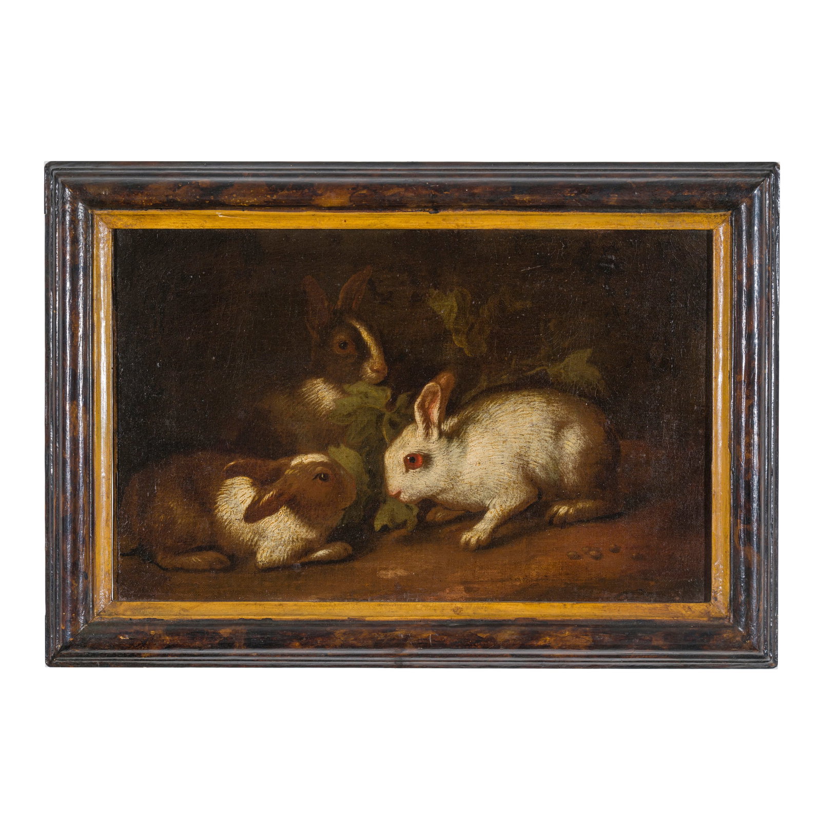 Giovanni Agostino Cassana (Mirandola 1658 circa - Genova 1720): Giovanni Agostino Cassana (Mirandola 1658 circa - Genova 1720) Conigli Olio su tela 27 x 43 cm Opera pubblicata a pag. 10 e 11 del catalogo della Mostra Di storie e di Arte Tre secoli di vita a Palazz