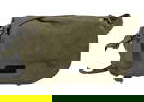 Army Green Satchel Camera Bag