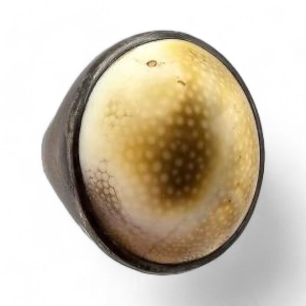 Shell Sterling Silver Ring Sz. 7.75 14.7 G (1 of 4)