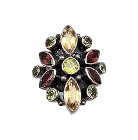 SLS Multi Gemstone Sterling Silver Cocktail Ring Sz 6 6.2 G