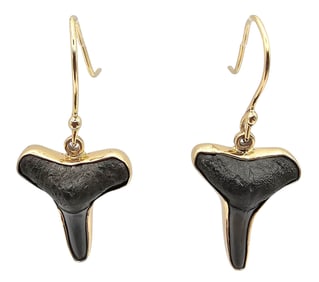 Charles Albert NWT Fossil Shark Tooth Alchemia Drop Dangle Earrings