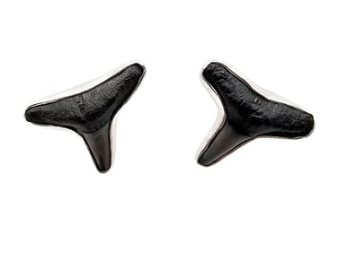 Charles Albert NWT Fossil Shark Teeth Sterling Silver Earrings 5.4 G