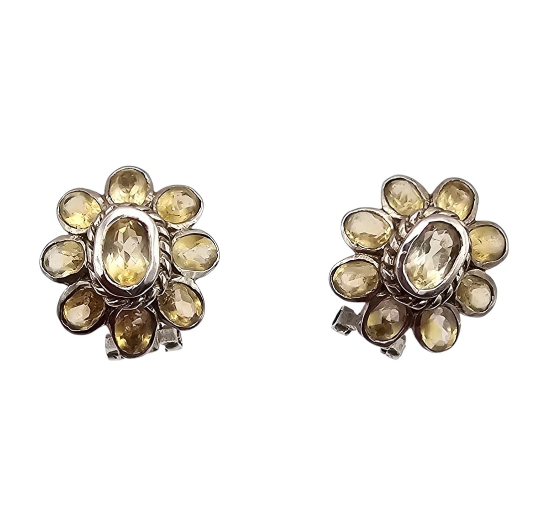 Amethyst Sterling Silver Earrings 5.1  G (1 of 3)