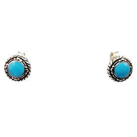 Sterling Snake Eye Turquoise Stud Earrings
