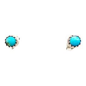 Sterling Snake Eye Turquoise Stud Earrings