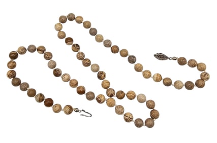 Petrified Wood Bead Necklace