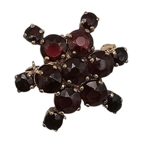 Bohemian Garnet Gold Tone Star Brooch