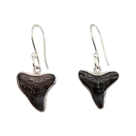 Charles Albert NWT Shark Tooth Sterling Silver Dangle Earrings 3.8 G