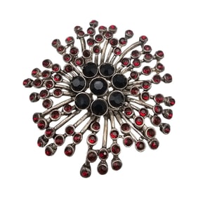 Express Rhinestone Floral Burst Brooch