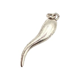 Sterling Silver Italian Horn Pendant, 1.9 G