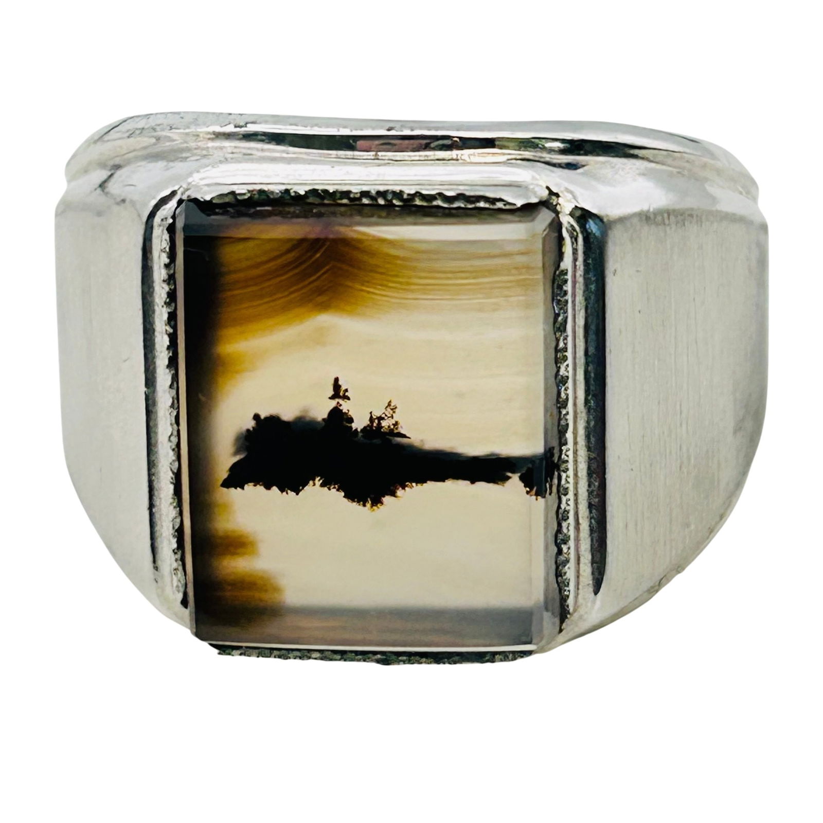 Dendritic Agate Sterling Statement Ring Size 12, 11.73 G (1 of 7)