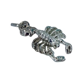 Epic Sterling Silver Scorpion Charm, 1.43g
