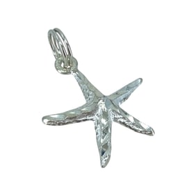 Nautical Starfish Sterling Silver NF Charm, 1.08g