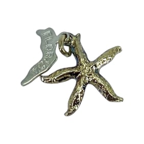 Gold Over Silver Starfish Florida State Charm, 1.2g