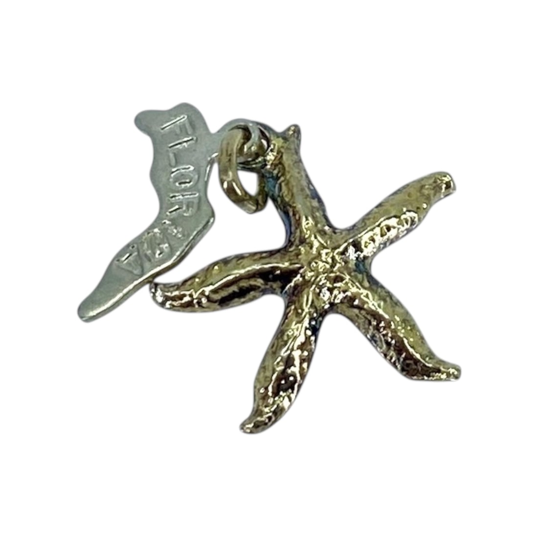 Gold Over Silver Starfish Florida State Charm, 1.2g (1 of 4)