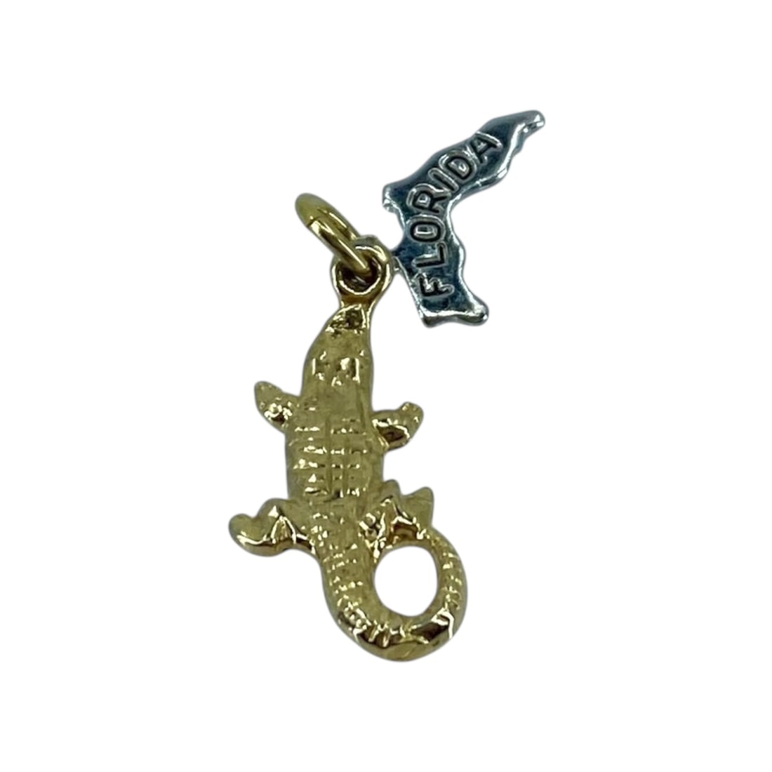 Cute Gold Over Silver Aligator & Florida State Charm, 1.29g (1 of 4)