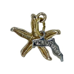Gold Over Silver Starfish Florida State Charm, 1.73g