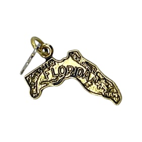 Engraved Florida State Palm Tree Gold Over Sterling Silver Signed Charm, 1.35g