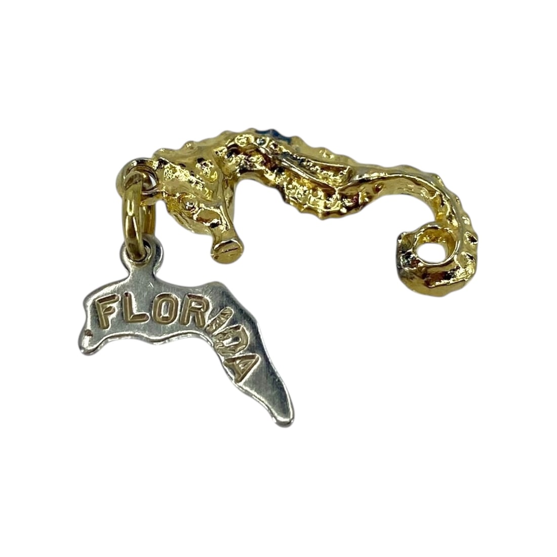 Dainty Seahorse Florida State Gold Over Silver Charm, 1.49g (1 of 3)