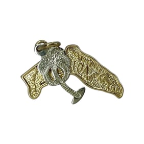 Florida Engraved Gold Over Sterling Silver Charm Palm Tree, 1.35g