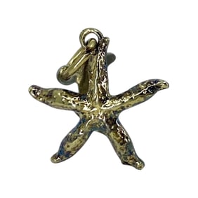 Starfish Florida State Gold Over Silver Charm, 1.2g