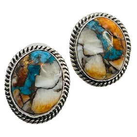 T. Skeets NativeSterling Multicolor Stone Earrings
