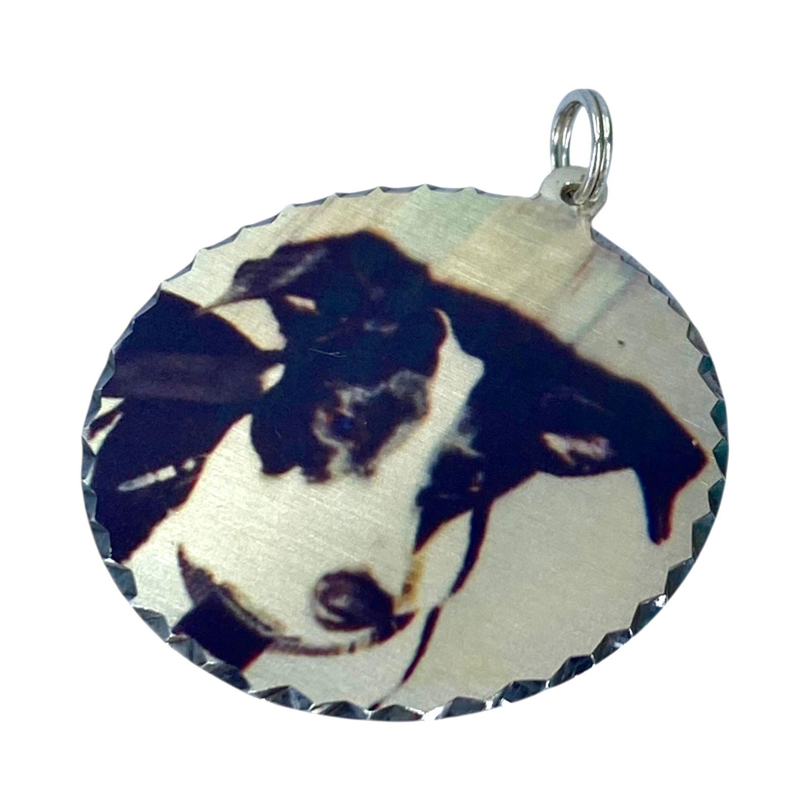 Sterling Puppy Circle Pendant 6g: Sterling Puppy Circle Pendant 6g
