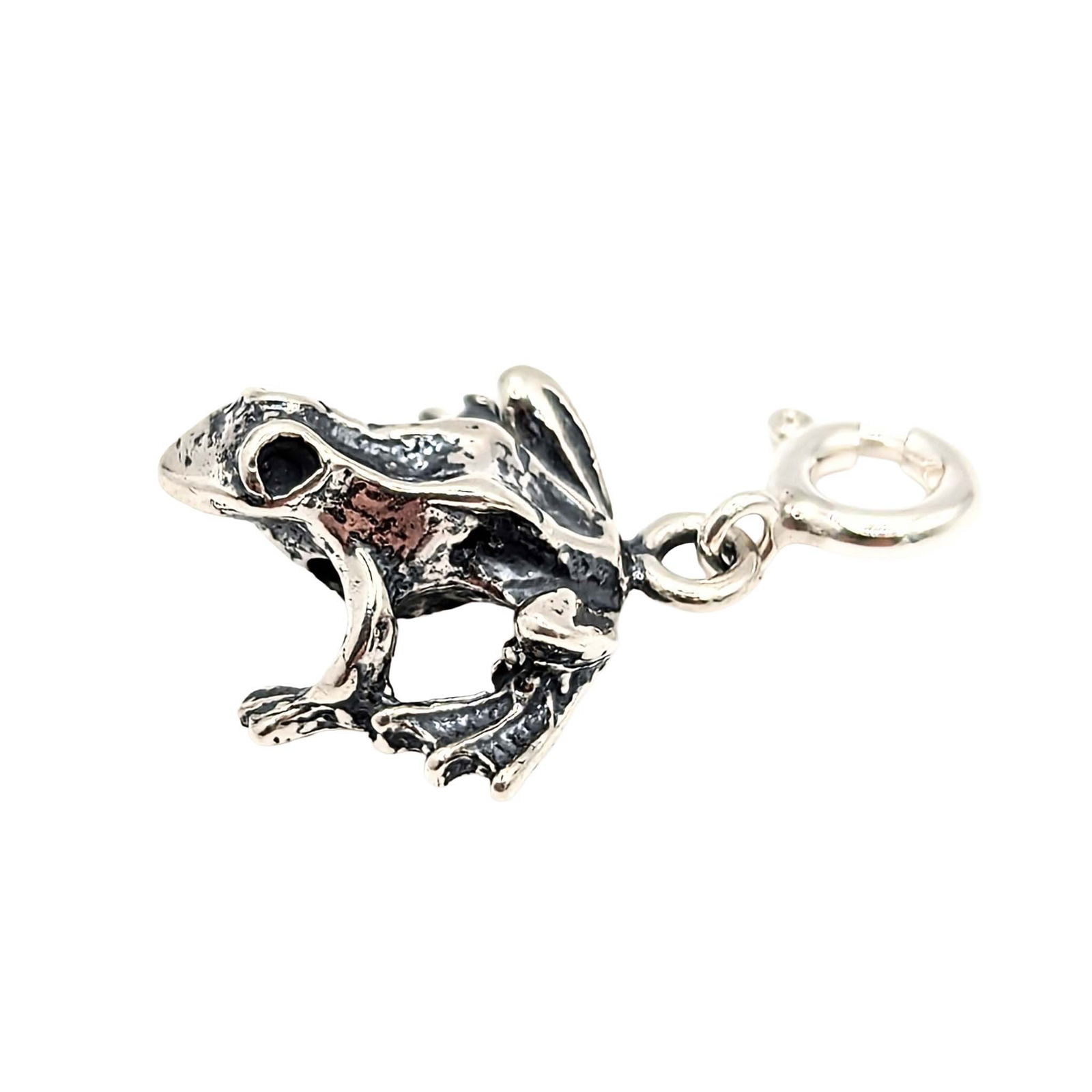 Native Made Sterling Silver Frog Charm (1 of 4)