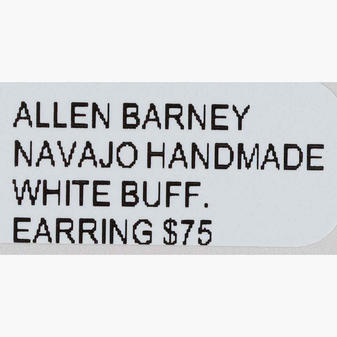 Allen Barney Navajo Sterling White Buffalo Hook Dangle Earrings - 4