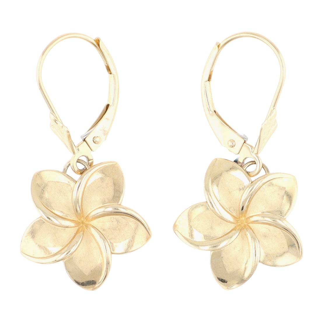 PLUMBERIA 14K Gold Leverback Flower Earrings (1 of 4)