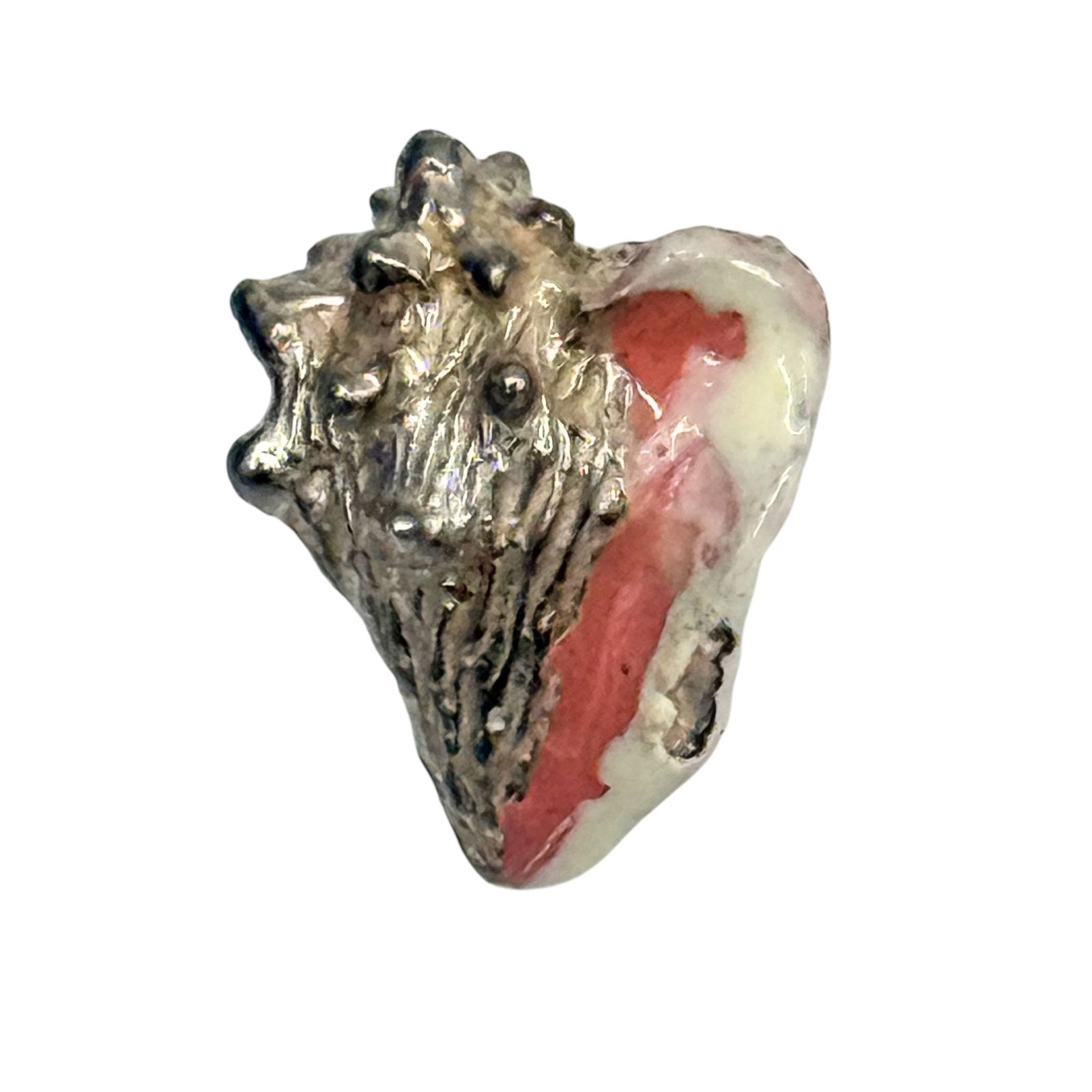 Sterling Conch Shell Charm 2.6g: Sterling Conch Shell Charm 2.6g