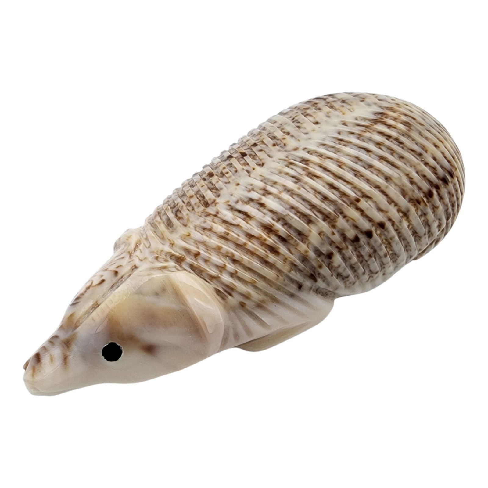 Ray Davis Navajo Shell Mouse Fetish: Ray Davis Navajo Shell Mouse Fetish / Approximate Weight: 13.1g / Approximate measurements: 2"x .9" x .6" / Note 1: Purchased at Canyon Trading Post in 1994. Comes with copy of the original receipt an