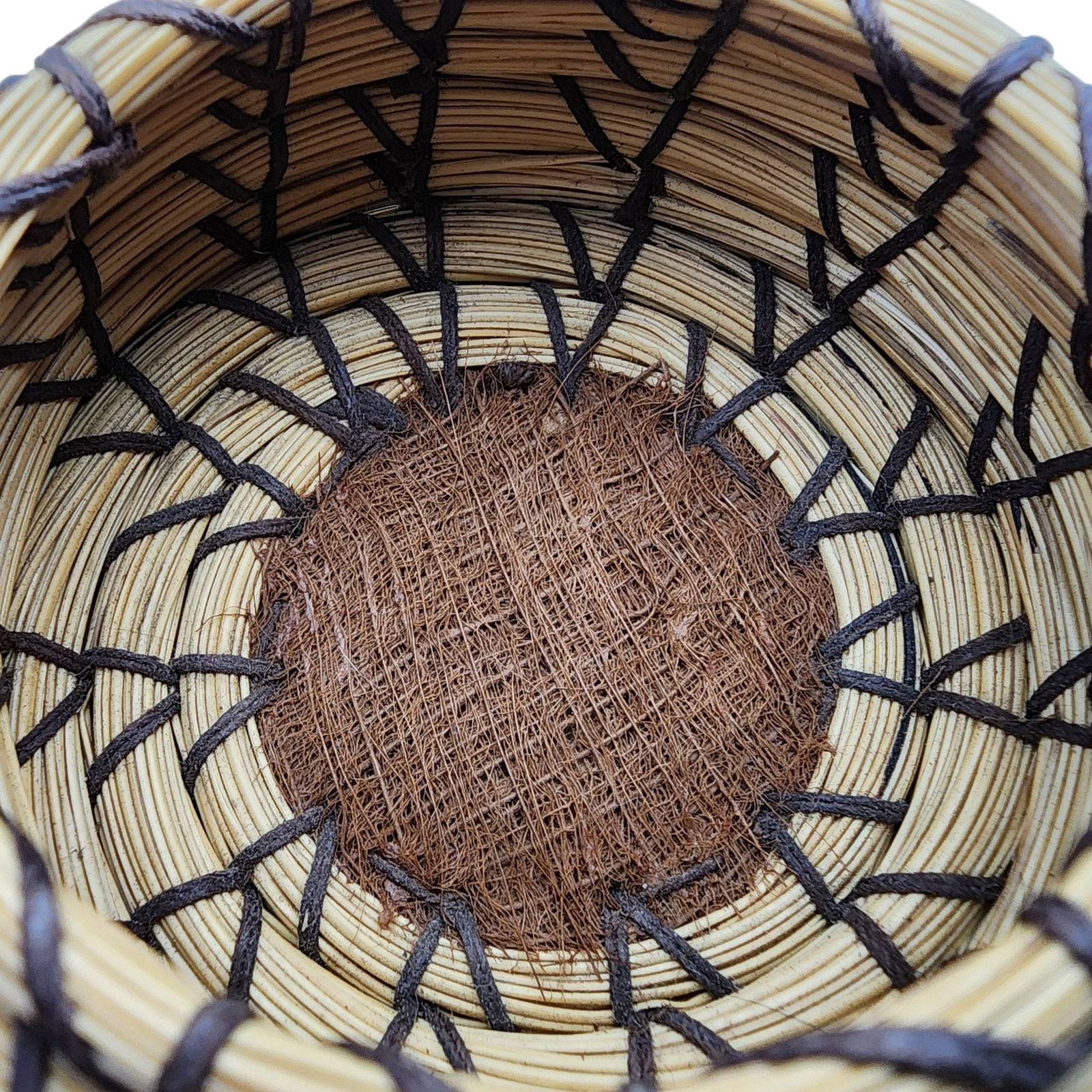 Native American Coiled Basket - 4