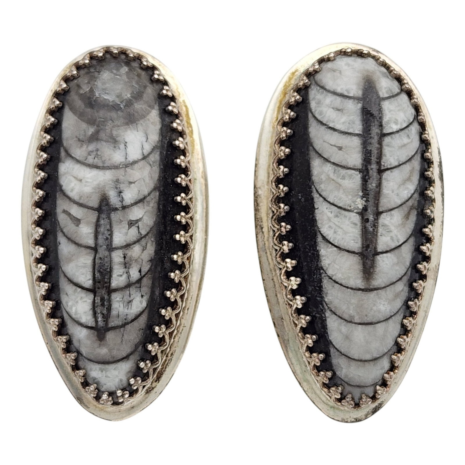 Signed Designer Sterling Orthoceras Fossil Earrings: Amazing Signed CDS? Artisan/Designer Sterling Orthoceras Fossil Earrings - 16.6g