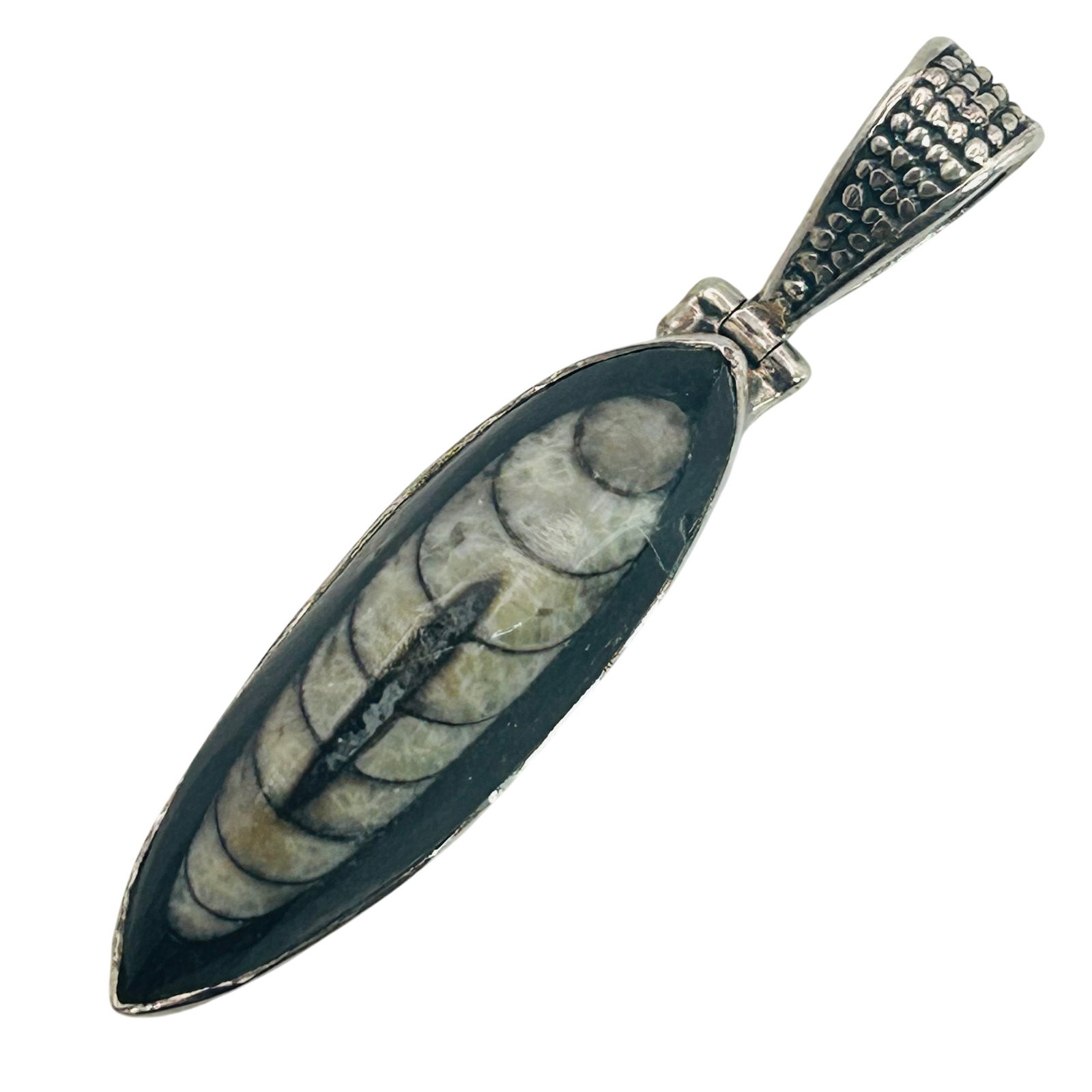 Sterling Orthoceras Fossil Pendant (1 of 4)