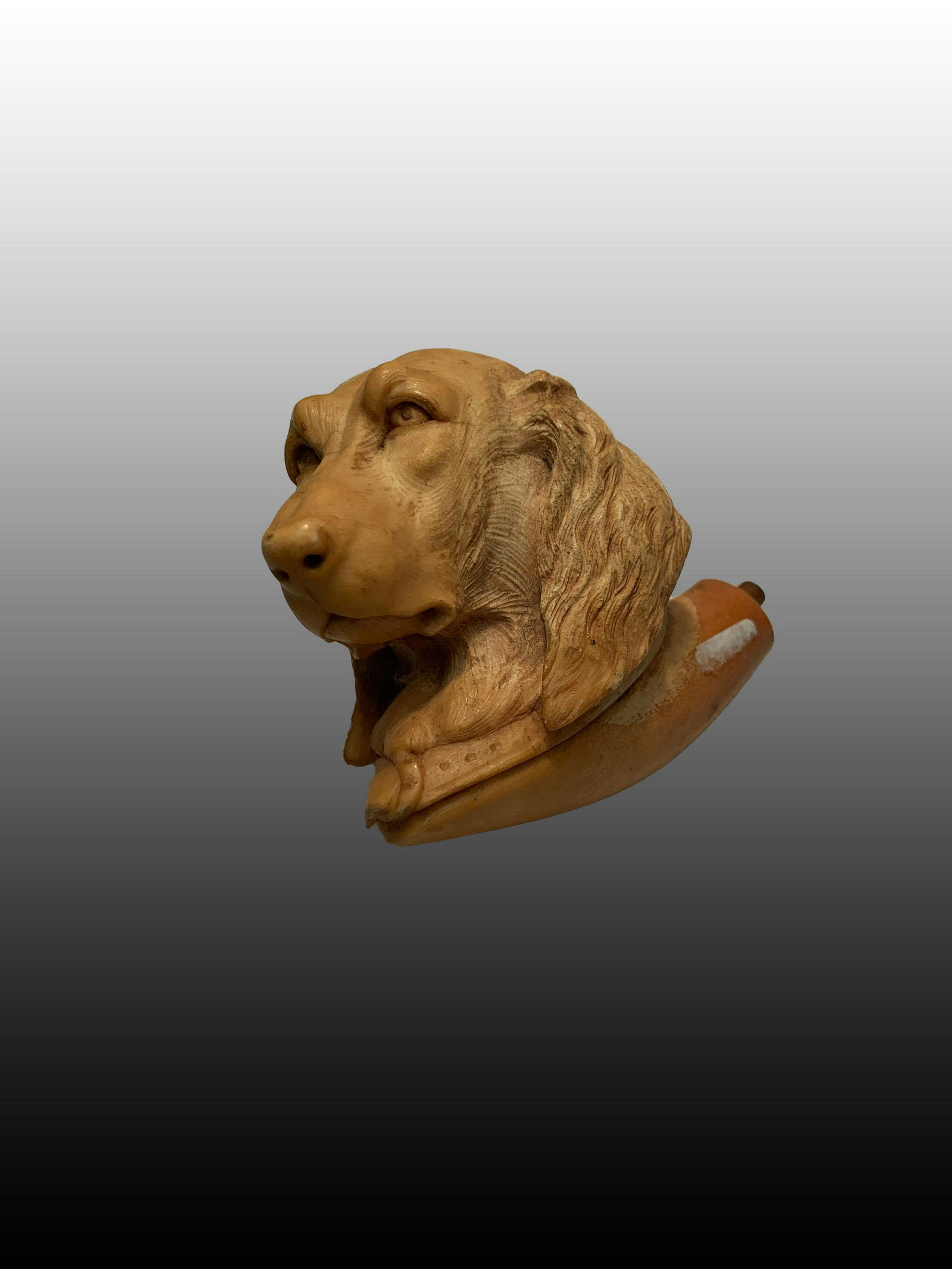 Meerschaum Pipe, Carved in the form of a Realistic Dog (1 of 7)