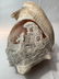 19th c Carved Cameo Shell - 2