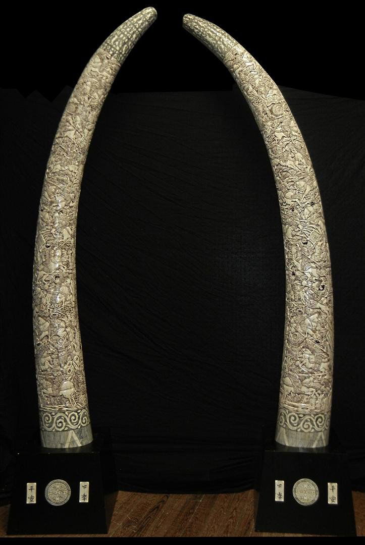 Monumental Tusks w/Japanese Ivory Relief: Pair of monumental faux tusks on ebony stands with Japanese ivory decoration in relief with warrior scenes. Tusks measure 90"H, and stand measures 16"H.