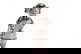 item-205144703=1