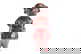 item-205144703=4