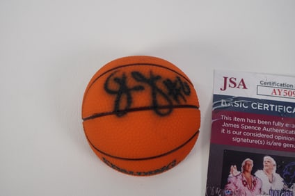 Dr. J Julius Erving No. 6 AUTOGRAPHED Mini-Basketball Panel Philadelphia 76ers w/COA