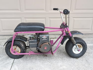 Vintage Briggs & Stratton 206cc Mini Bike